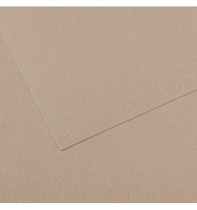 Бумага для пастели CANSON Mi-Teintes 75*110см 160гр., Цвет №122 Серая фланель, 1 лист