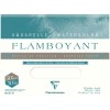 Альбом для акварели Clairefontaine Flamboyant, 310*410мм, 300гр. экстра-торшон, 20 листов