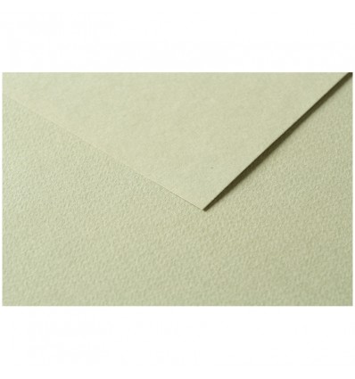 Бумага цветная Clairefontaine Tulipe, 500*650мм., легкое зерно, 160гр., 25 листов-1 цвет, Миндаль