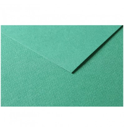 Бумага цветная Clairefontaine Tulipe, 500*650мм., легкое зерно, 160гр., 25 листов-1 цвет, Темно-зеленая